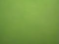 Sporting en Ferrol (dasela a barral)