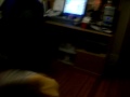 002.MOV