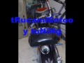 videos de minimoto 101% tuneada y trucada