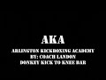 Donkey pass to knee bar Donkey pass to knee bar