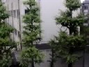 上野口の取手越え通勤電車の代名詞。グリーン車までも連結し、東海道線E231-1000系と同じセンスの交直流車としか言いようがない。快速　勝田行き（前5両は土浦どまり）非常に乗りたかった電車の一つ。