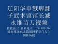 miaodao 苗刀 视频