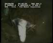 monkfish attack