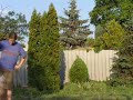 Dog Dancing Tricks No.10 - Side walking