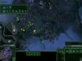 videos de Starcraft 2 Tournament Part 5/5