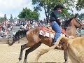 equiblues 2008 st agreve roping france