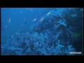 091007_2 HMS Repulse