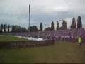 Ruch Chorzów - Podbeskidzie (doping młyna)