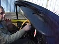Bmw e30 320i Cabrio Bmw e30 320i Cabrio
