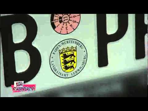 Die Geissens - Robert und das Kennzeichen