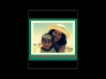 Down syndrome:&nbsp;S�ndrome de Down: Feliz D�a de la Madre