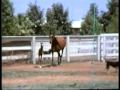 For research purposes ~ Dam of Wizjon...