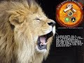 TRISKELION VIDEO