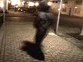 noord-side