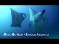 Amazing HD Footage - Manta Alley Komodo Indonesia