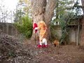 Golden Were-Tiger Warrior