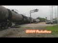 CN 8008 leads CN A431 (6-13-09)