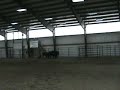 Ink at Buckeye Cowdog Trial