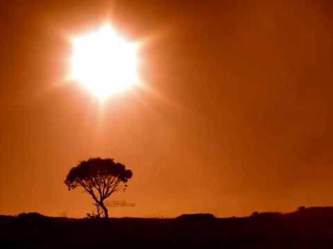 Ub40 Bob Marly - Sunshine Reggea
