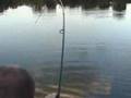 Baggersee Karpfen DVD Trailer