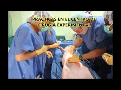 Imagen de previsualización de YouTube