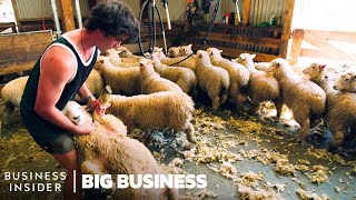 How NZ Farmers Shear 25,000 Sheep In 10 Days