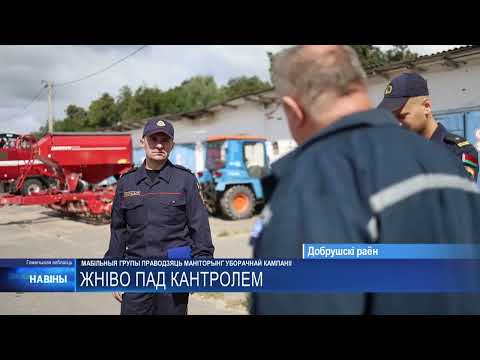 Мобильные рейдовые группы продолжают проверки сельхозпредприятий на Гомельщине видео