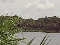 My Home (tharavadu)