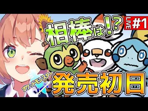動画