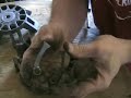Clutch Kit Install (2 of 3) Clutch Kit Install (2 of 3)