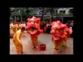 Chinese New Year