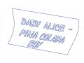Baby Alice - Pina Colada Boy