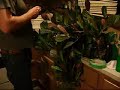 Worm casting Worm casting