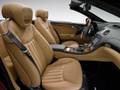 Only for Mercedes Benz lovers