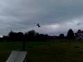 Xb8 Backflip