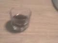 El vaso fantasma