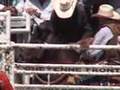 2007 Cheyenne PRCA Saddlebronc Champion on Shocked Horse!