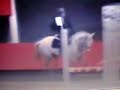 Sringtraining mit Leoni und Quit Kapitol