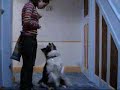 paw, foot and holding a pole