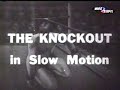 jack dempsey vs  luis firpo
