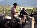 rodeo Illapel