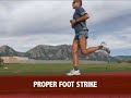 Biomechanics Head to Toe