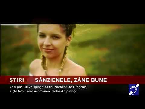 Sânzienle, zâne bune
