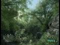 Seehttp://crysis-extreme.ddl2.plP4 2,4GHz, Radeon X1950Pro AGP, 1,5GB DDRI
