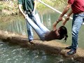 cumplañeros de casta de campeones,ministerio internacional la cosecha,comayagua,honduras 2