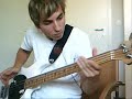 Red Hot Chili Peppers - Higher Ground by DavidSinRocks