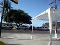 videos de BAIA DO PONTAL.WMV