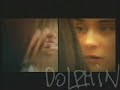 dolphin   dver