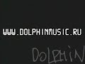 dolphin   dver