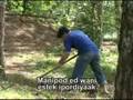ANAK ESTEM ESKWELAM
